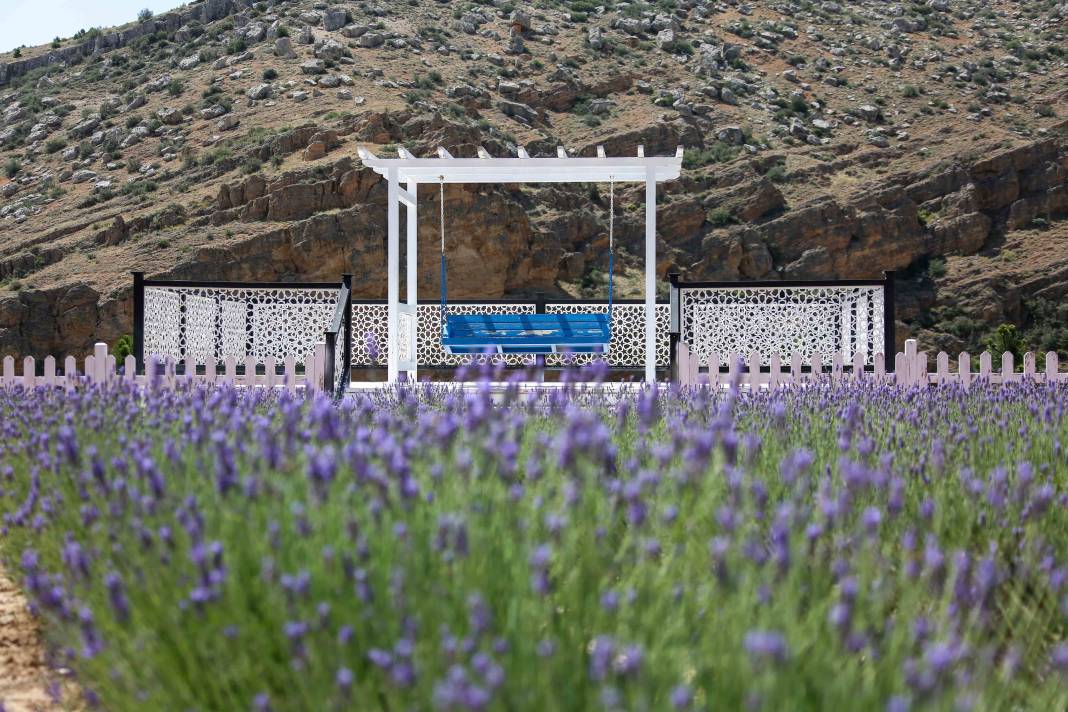 Renkleriyle büyülüyor, kokusuyla dinlendiriyor! Meram’da beklenen an geldi 5